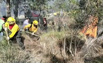 En Veracruz Incendio Forestal En Vigas De Ram Rez Abarca Hect Reas