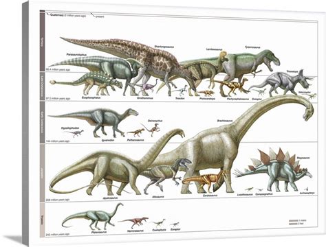 Timeline of Dinosaurs | Great Big Canvas