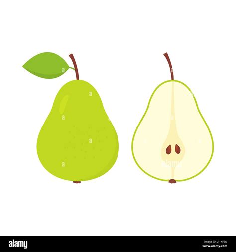 Green Whole And Half Pears Sweet Cute Flat Pear With Leaf Vector