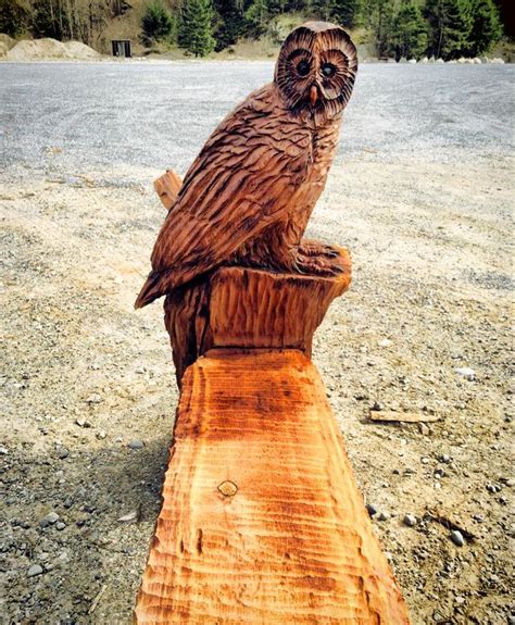 Pin By Rose Vandeventer On Wood Making Creations Barred Owl Wood Carving Art Art