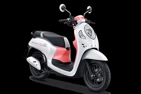 Cocok Buat Cewek New Honda Scoopy Stylo Ada Warna Pink Bisa Jadi