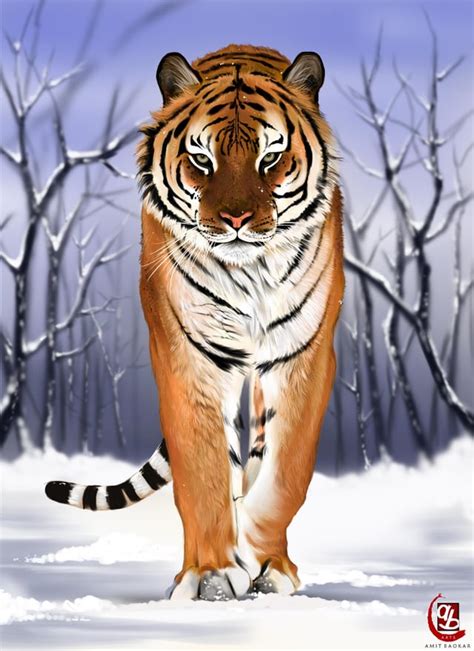 Siberian tiger, digital painting, 2400 X 3300px : r/Art