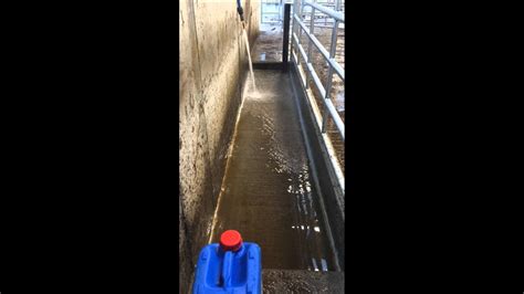 Easy Fill And Flush Cattle Foot Bath 16ft 56 Dips Per Foot Youtube