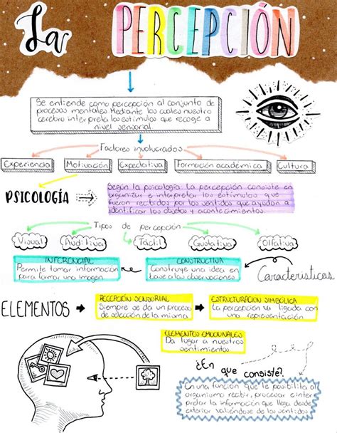 Mapa Conceptual De La Percepcion Psicologia Documentos