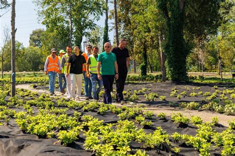 Ziua De Cluj Primarul Boc N Inspec Ie La Parcul Feroviarilor Va Fi