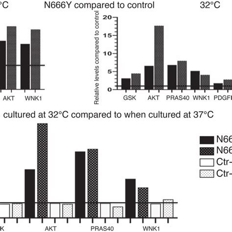 Kinase Phosphorylation Measured By Human Phospho Kinase Array Two