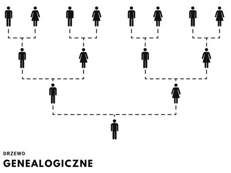 Wz R Jak Zrobi Drzewo Genealogiczne Do Szko Y Moleo Pl