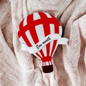 Hot Air Balloon Baby Milestone Markers Monthly Baby Photos Baby Shower Gift For New Moms Baby