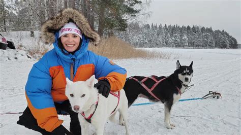 Sretni Gradovi Rovaniemi Hrt