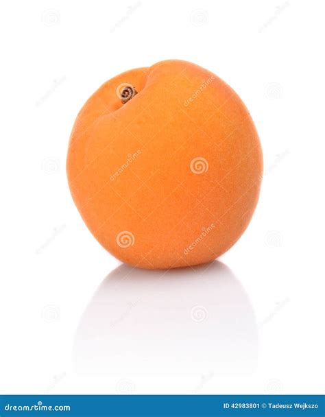 Single Whole Apricot On White Stock Image Image Of Vegetarian White