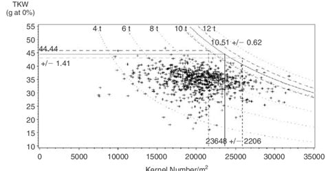 Relationship Between Thousand Kernel Weight And Kernel Number Used For