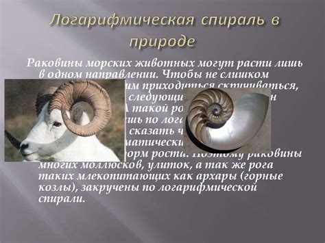 Логарифмы вокруг нас - презентация онлайн