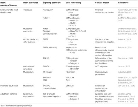 Frontiers Bearing My Heart The Role Of Extracellular Matrix On