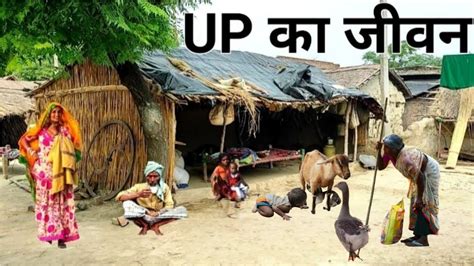 Official Village Daily Routine Real Village Life Indian In Uttar Pradesh Village Vlogs Up Rural