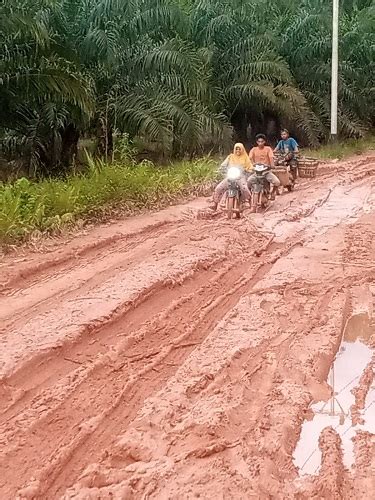 Jalan Tabuyung Rusak Parah Warga Mengadu Ke Bupati