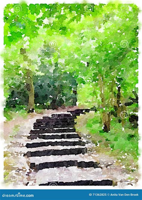 Watercolor Painting Of A Path In The Woods Stock Illustration