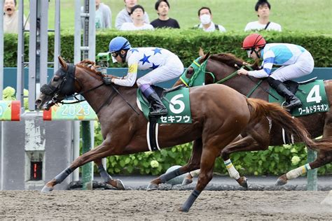 武豊騎手 今週の騎乗馬セキフウでフェブラリーs参戦 競馬ニュースなら競馬のおはなし