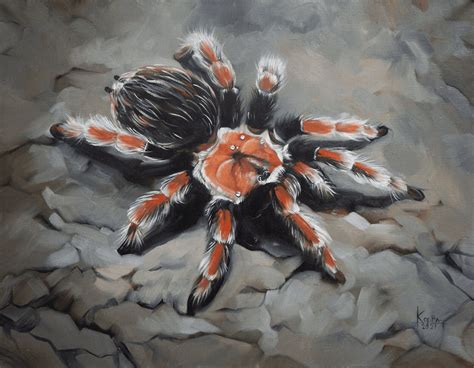 Spider Painting Original Art Oil Painting On Canvas Etsy