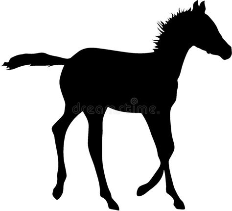 Running Foal Silhouette stock illustration. Illustration of silhouette ...