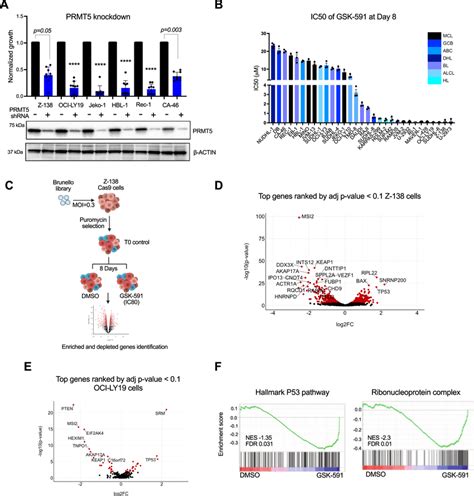 Genome Wide Crisprcas9 Ko Screen Identified Controllers Of Sensitivity