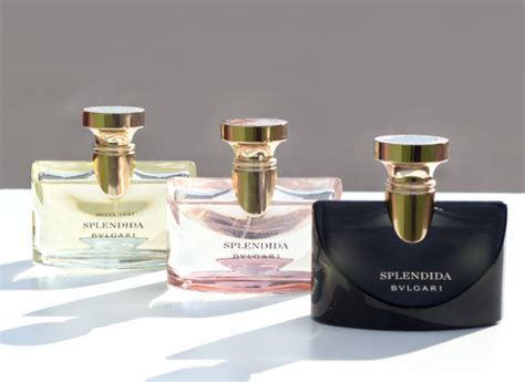 On Escentual: Bvlgari Splendida Collection | The Candy Perfume Boy