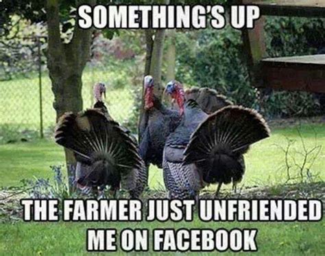 Funny Thanksgiving Memes Afton Ardenia