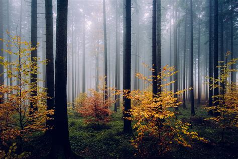 AN ILLUSION OF ORDER on Behance