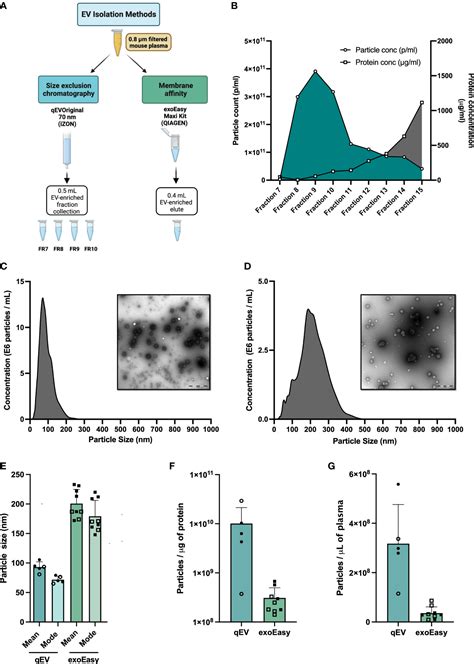 Frontiers Proteome Profiling Of Whole Plasma And Plasma Derived