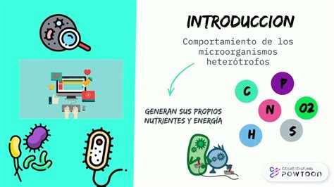 Bioestimulaci N De Microorganismos Heter Trofos En Suelos Contaminados