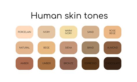 Skin Tones Palette By Name Different Types Human Skin Flat Icon Set