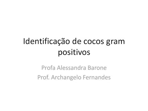 PDF Identificação de cocos gram positivos Fazem parte da