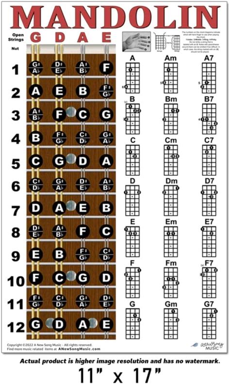 Buy Mandolin Classic Style Easy Chord And Fretboard Note Chart Instructional Poster For Beginners