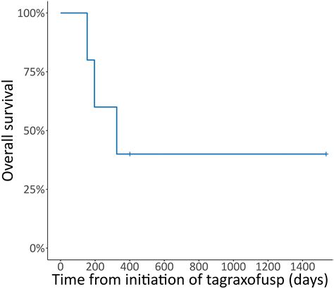 Frontiers Real World Evidence On Tagraxofusp For Blastic Plasmacytoid