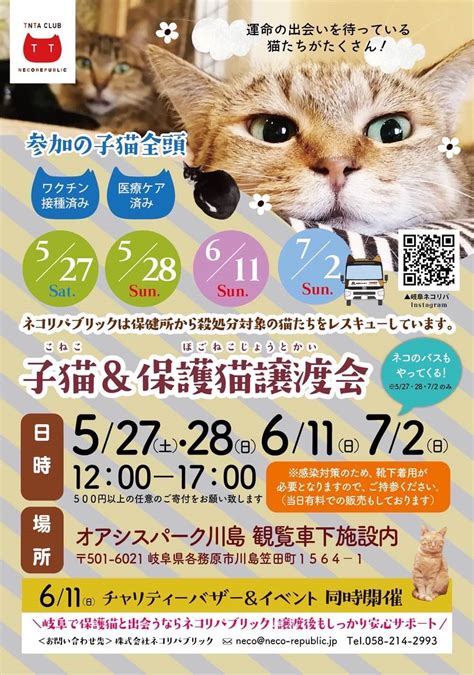 5月27日（土）28日（日）！岐阜県最大級 子猫＆保護猫譲渡会 運命の出会いはすぐそこに🌷 ネコリパブリック｜日本の猫の殺処分をゼロに！