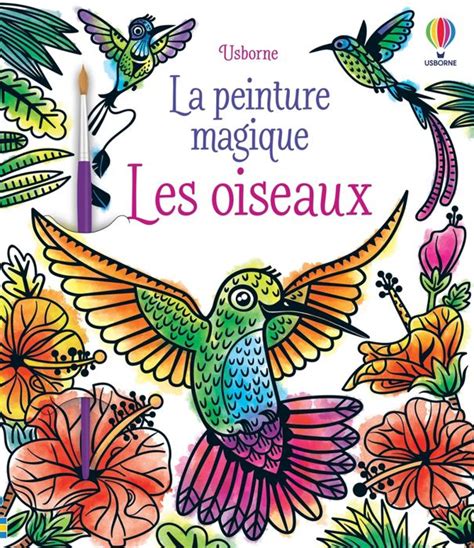 Usborne Les Oiseaux La Peinture Magique 252x218 Cdiscount Librairie