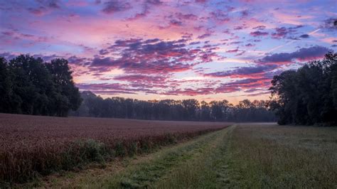 411100 4K Field Nature Landscape Sky Agro Plants Outdoors