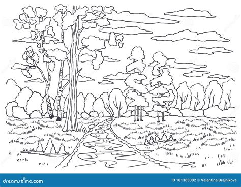 Molde Para Colorir Pintura De Paisagem Floresta Rvores Vidoeiro