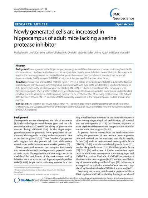 PDF Newly Generated Cells Are Increased In Hippocampus Of Adult Mice