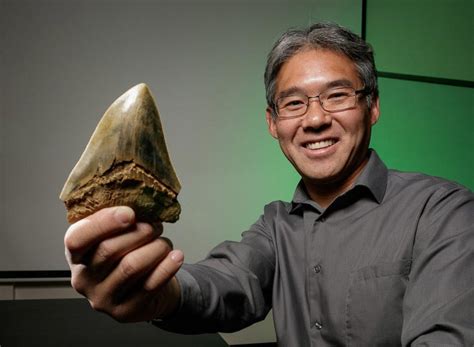 Mysterious Megalodon No One Actually Knows What The Gigantic Shark Really Looked Like