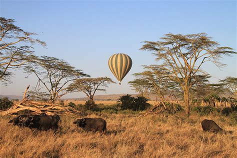 Tansania Rundreise Ma Geschneiderte Afrika Gruppenreise Planen