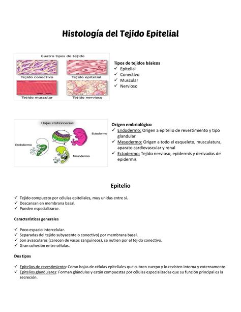 Resumen Del Tejido Epitelial Cosas Basicas Histología Del Tejido Epitelial Tipos De Tejidos