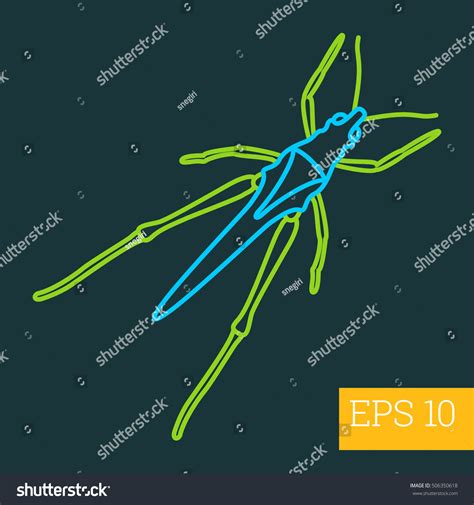 Katydid Locust Linear Vector Illustration Insect Stock Vector Royalty