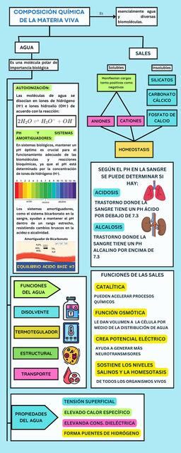 Composicion Quimica De La Materia Viva Gabriela Cristina Alarcón Calderón Udocz