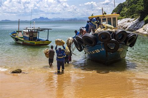 Mutir O De Limpeza Retira Toneladas De Lixo Da Ilha Do Franc S Em