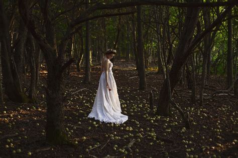 Fond Décran Lumière Du Soleil Forêt Femmes En Plein Air Femmes