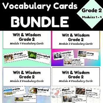 Grade 2 Wit Wisdom Vocabulary Cards BUNDLE By Olivia Price TPT