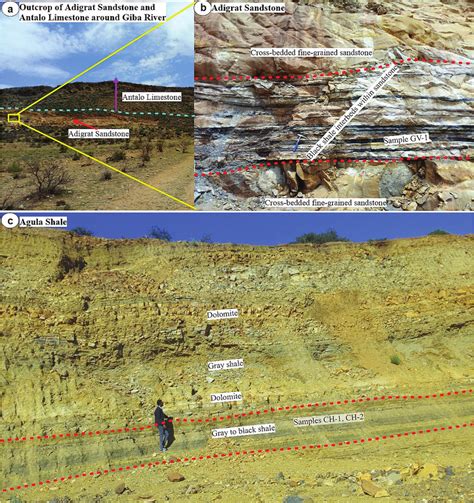 Outcrop Photographs Showing Black Shale Layers Within The Adigrat