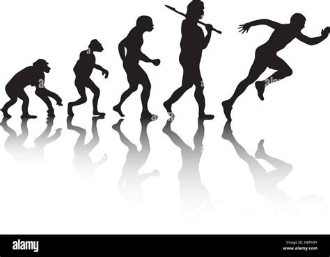 The Evolution Silhouette People Darwin S Theory Vector Illustration