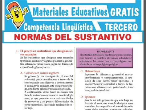 Normativa Del Sustantivo Para Quinto Grado De Secundaria Materiales