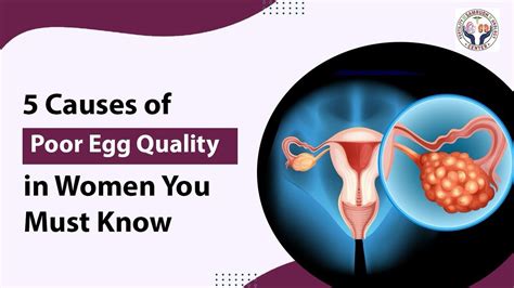 5 Reasons For Poor Egg Quality In Women Janisthaa IVF